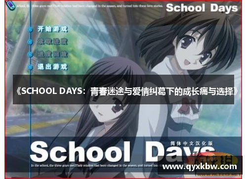 《SCHOOL DAYS：青春迷途与爱情纠葛下的成长痛与选择》